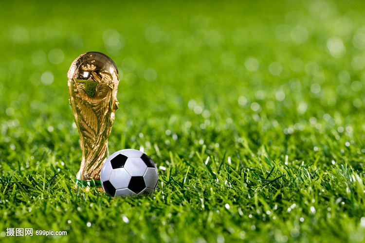 三中卫体系 三中卫体系